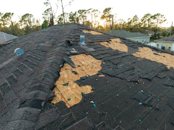 Fast & Reliable Emergency Roof Repairs in Palm Beach Shores, FL